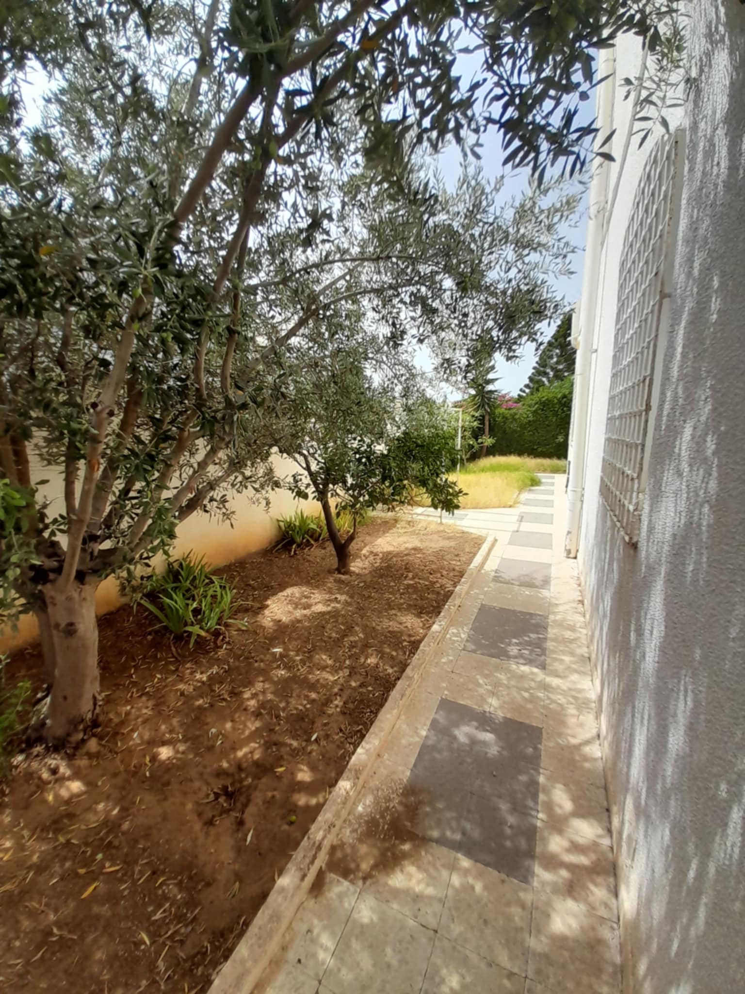791242_20250802_134756