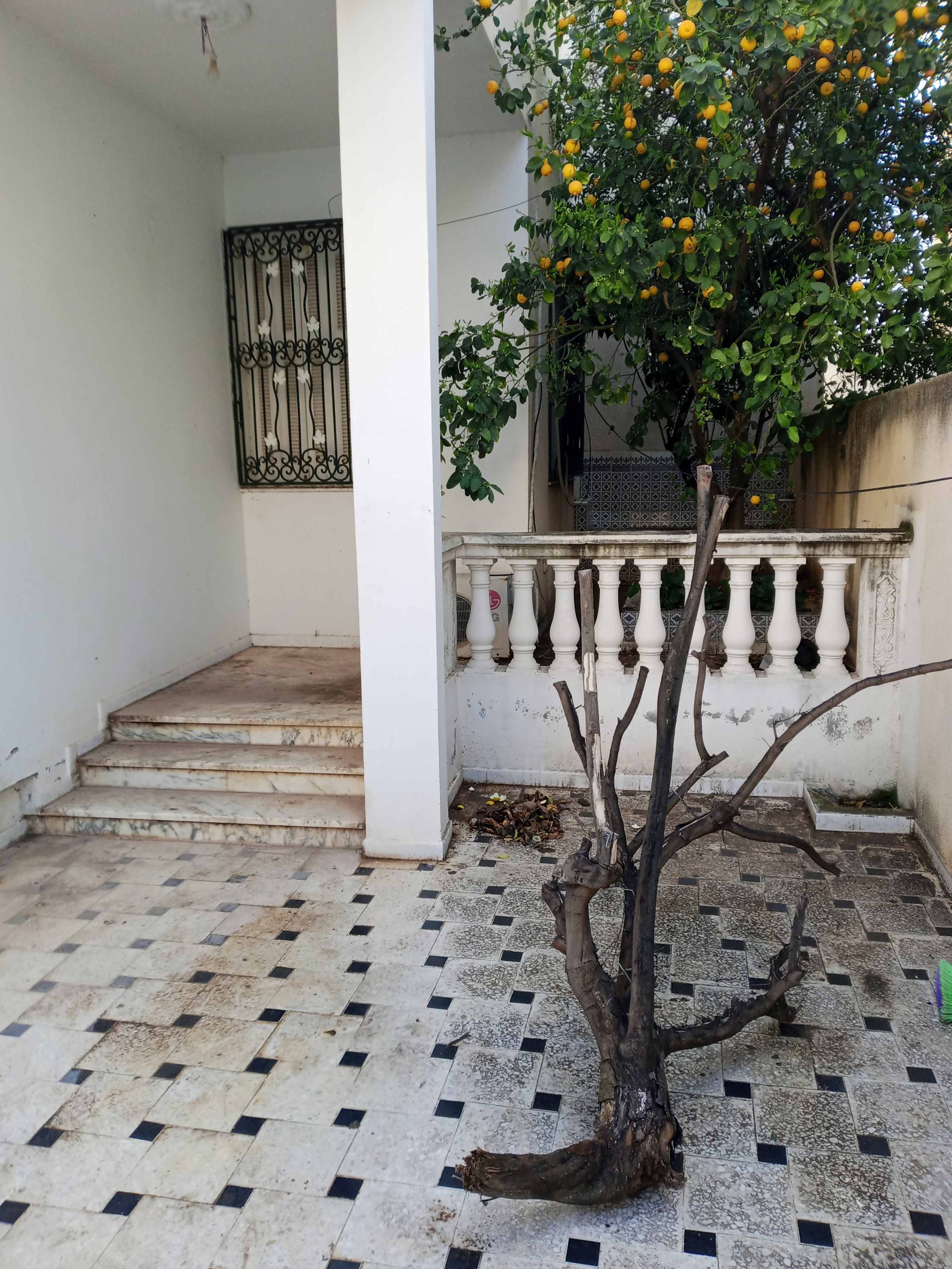 670367_20250213_162636