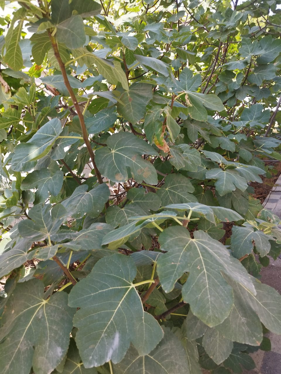 790858_20250824_143941