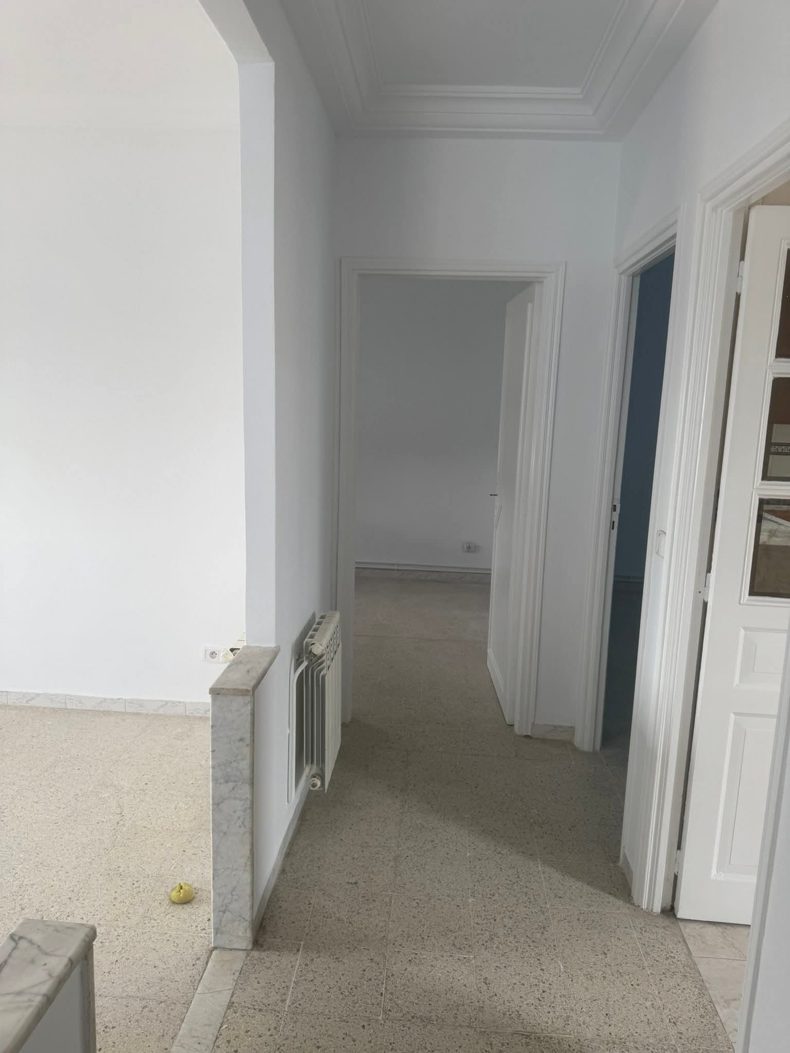 736413_20250619_171638