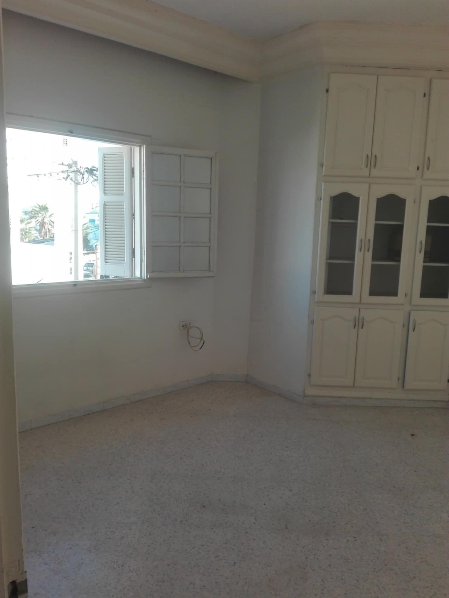 inbound6708838864049105618