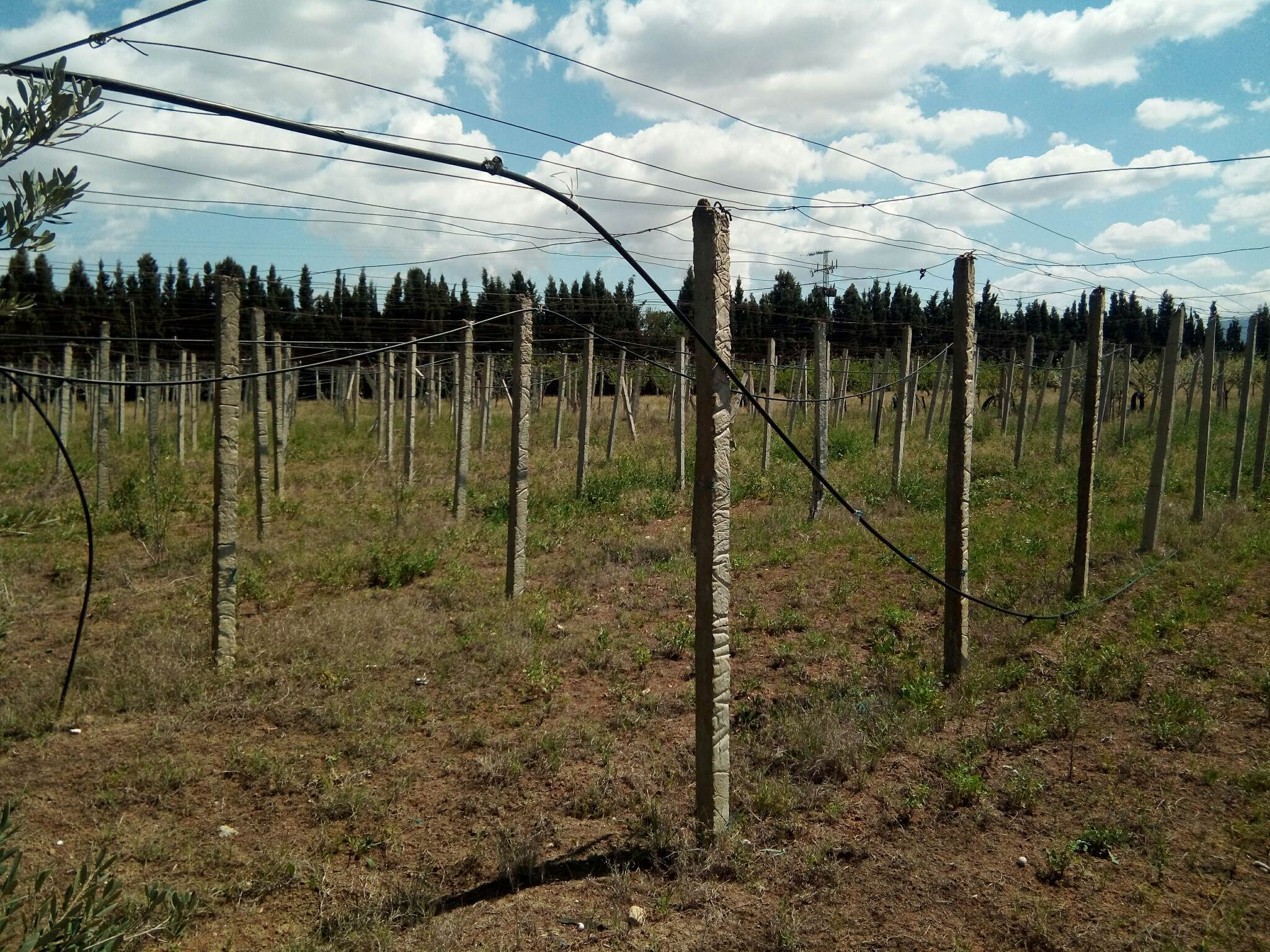 168335_20231218_105215