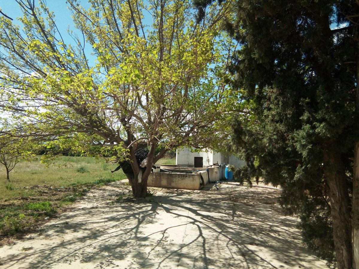 168335_20231218_104916