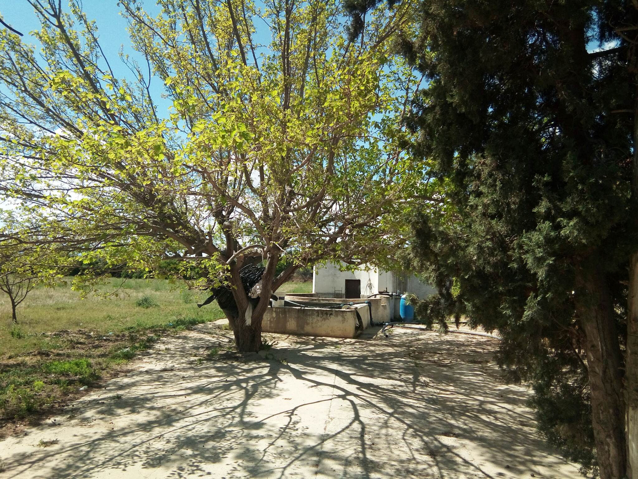 168335_20231218_104916