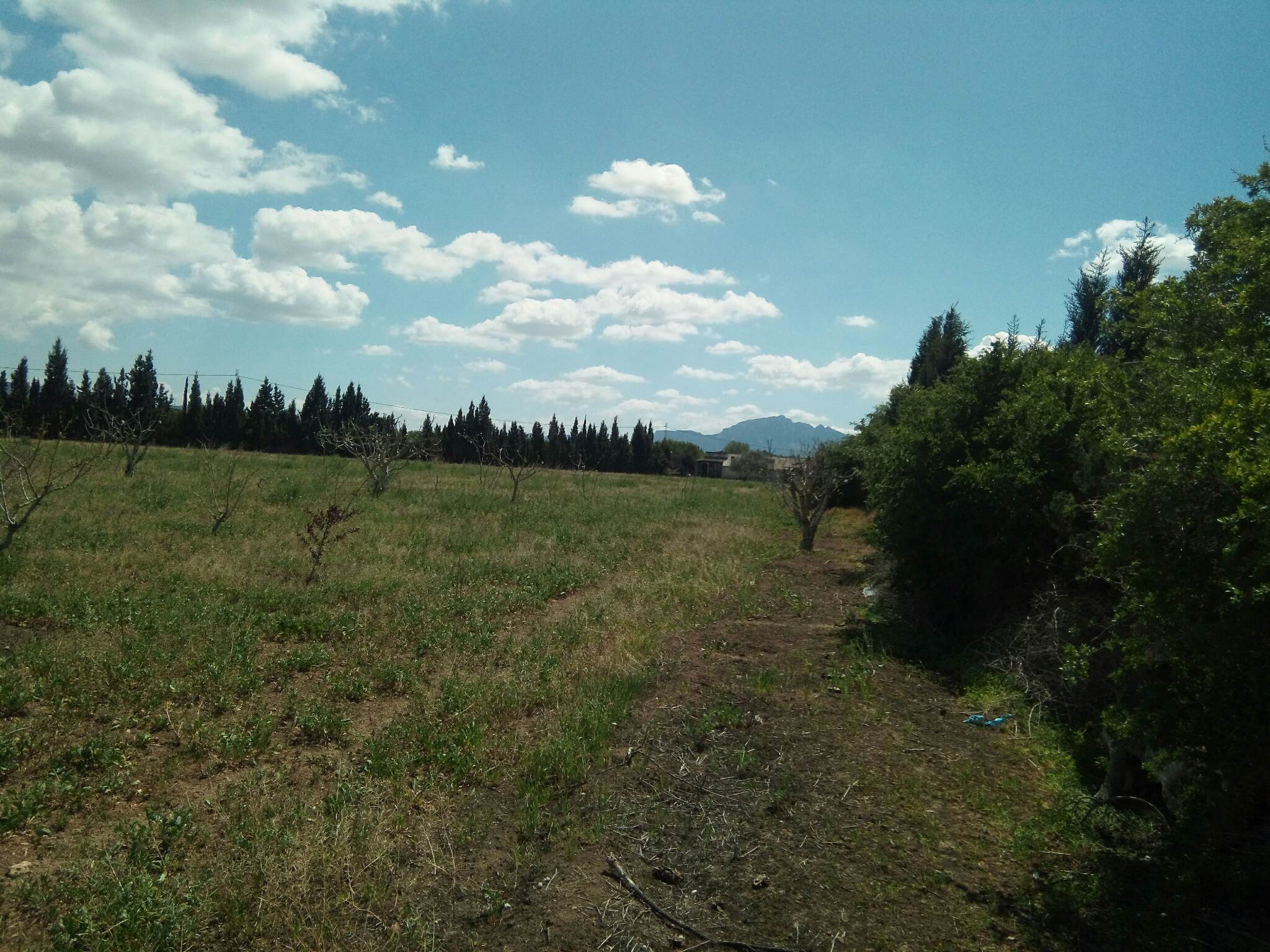 168335_20231218_105135