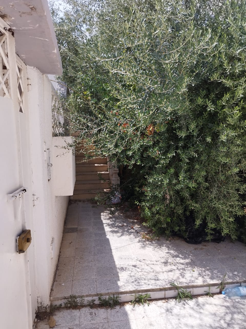 790858_20250824_143918