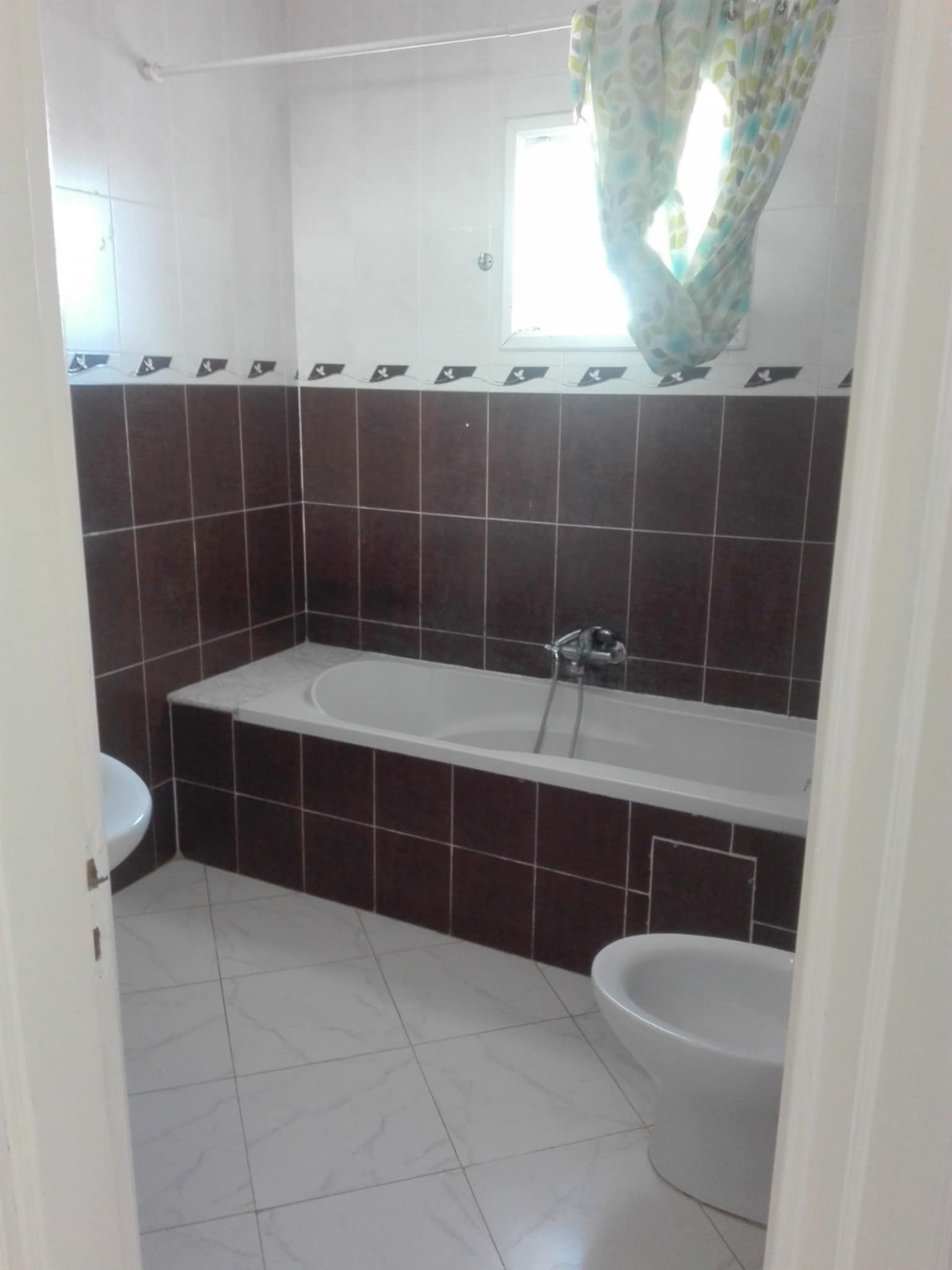 inbound8183107679942639893