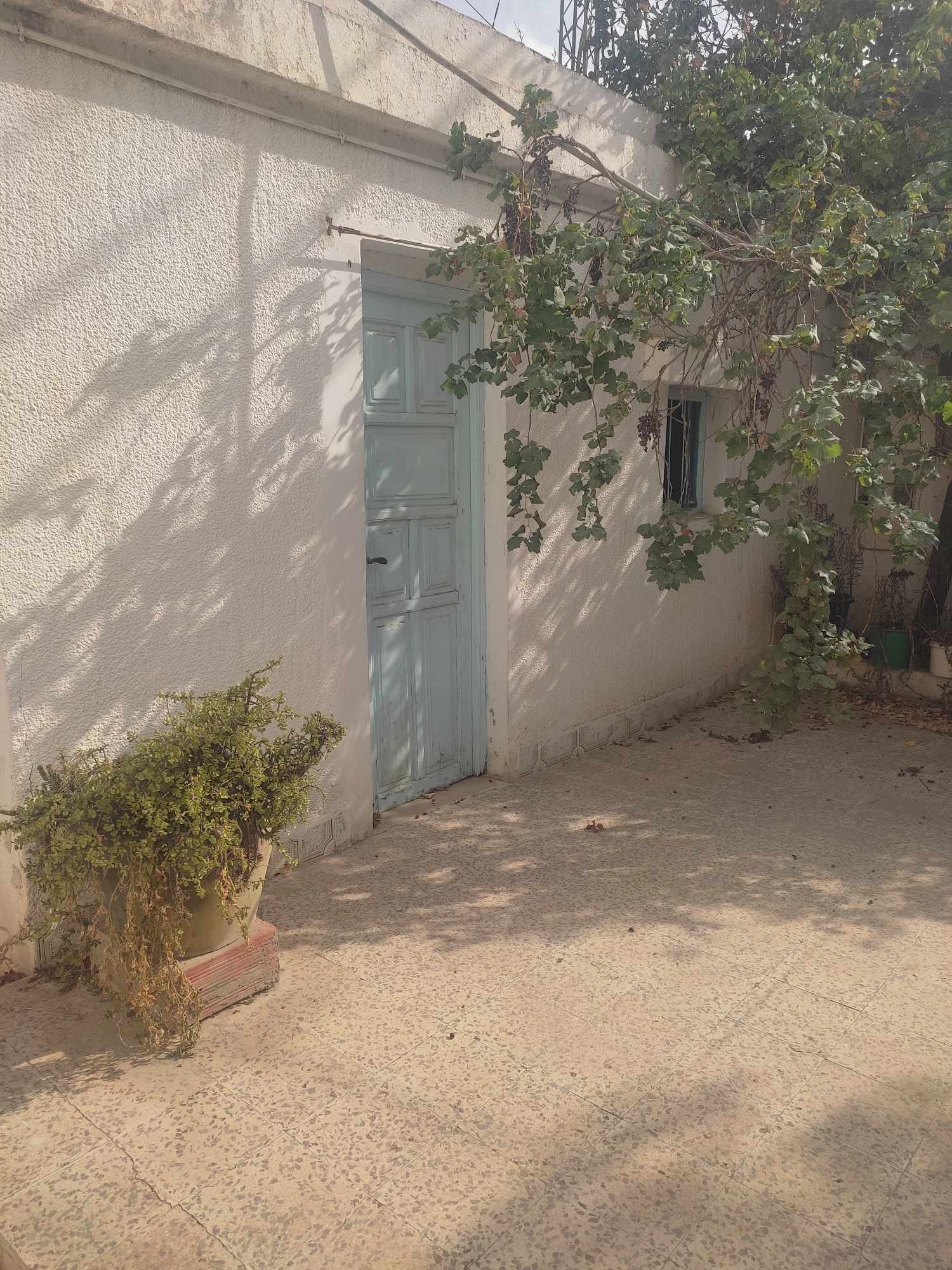 168335_20231110_154113