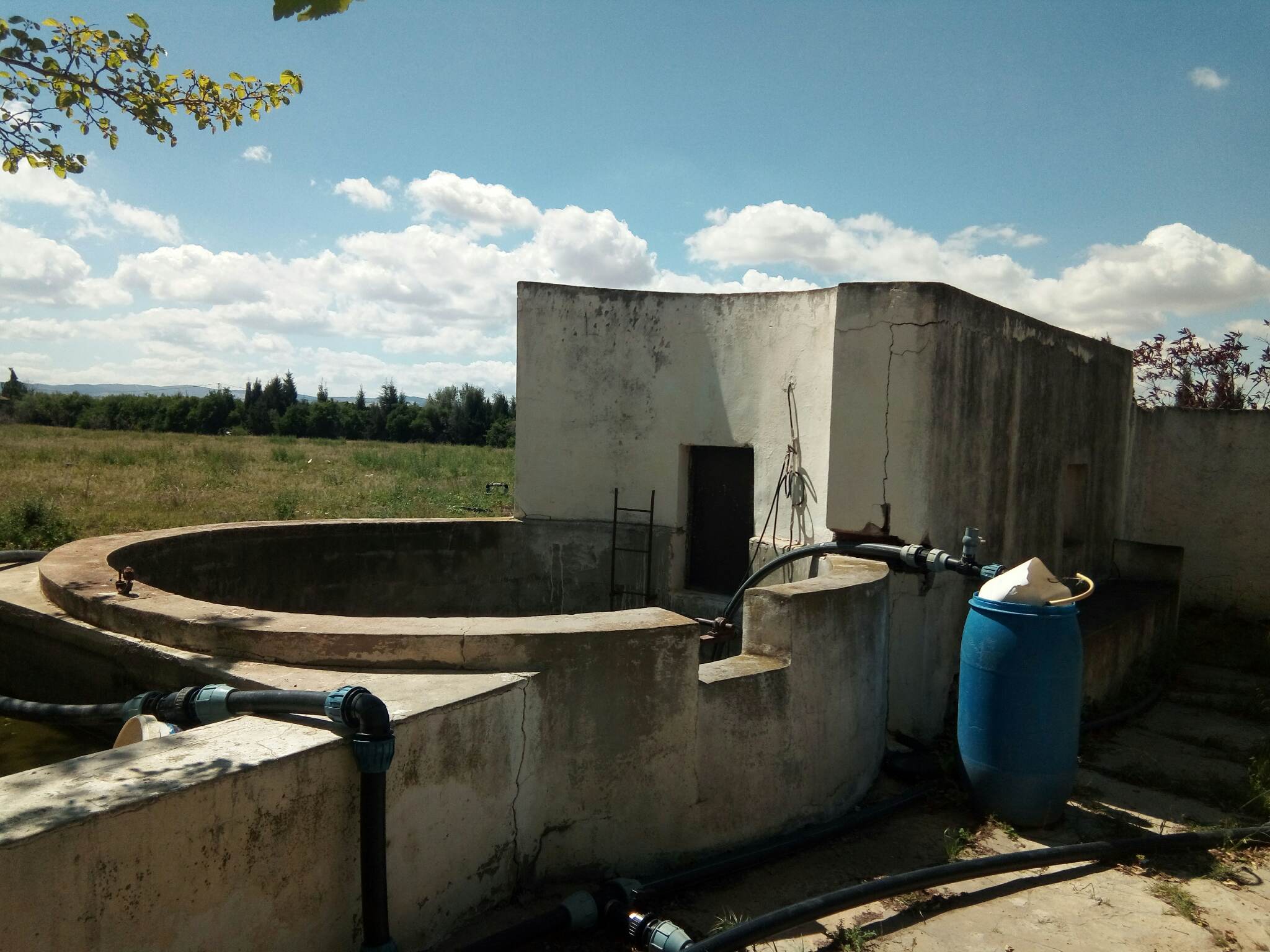 168335_20231218_104948