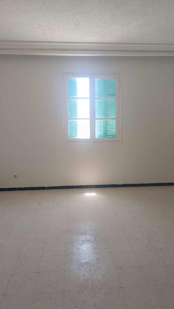 733463_20250724_181054