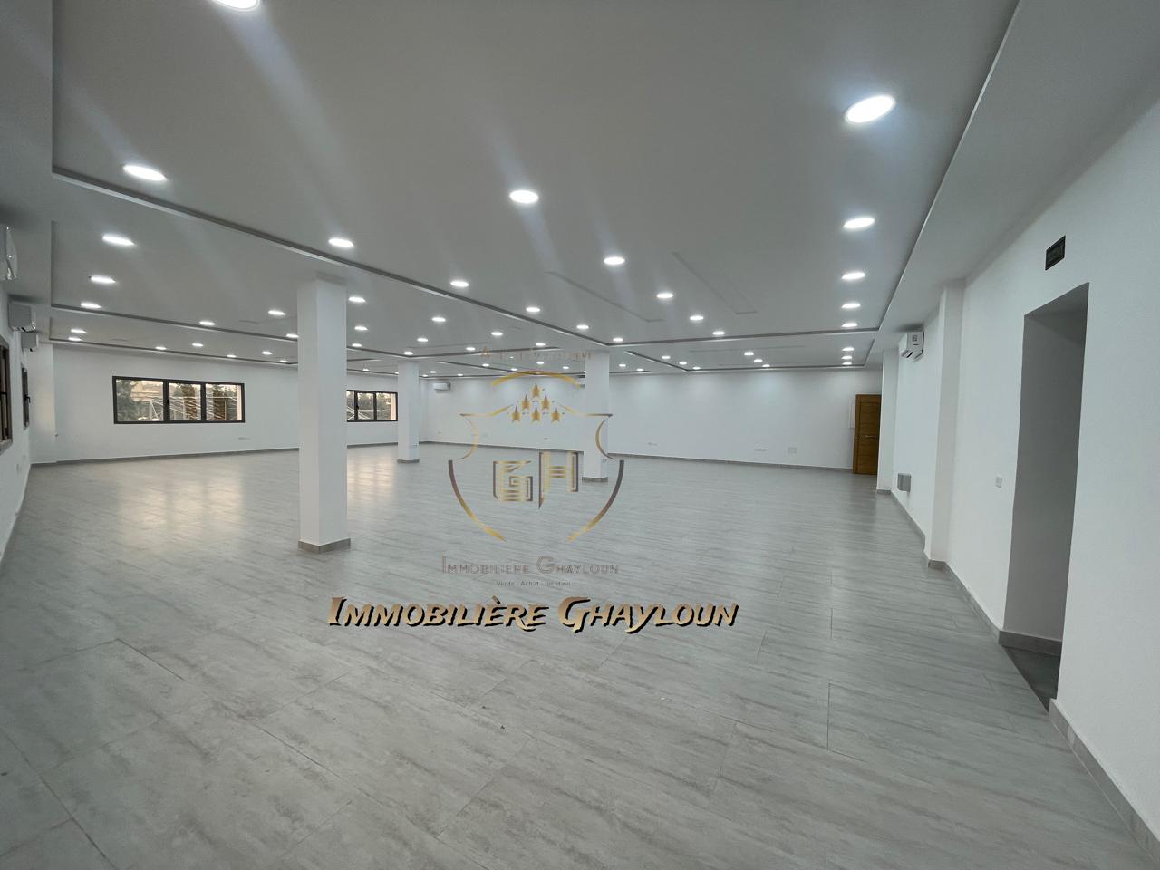 773123_20241023_172032