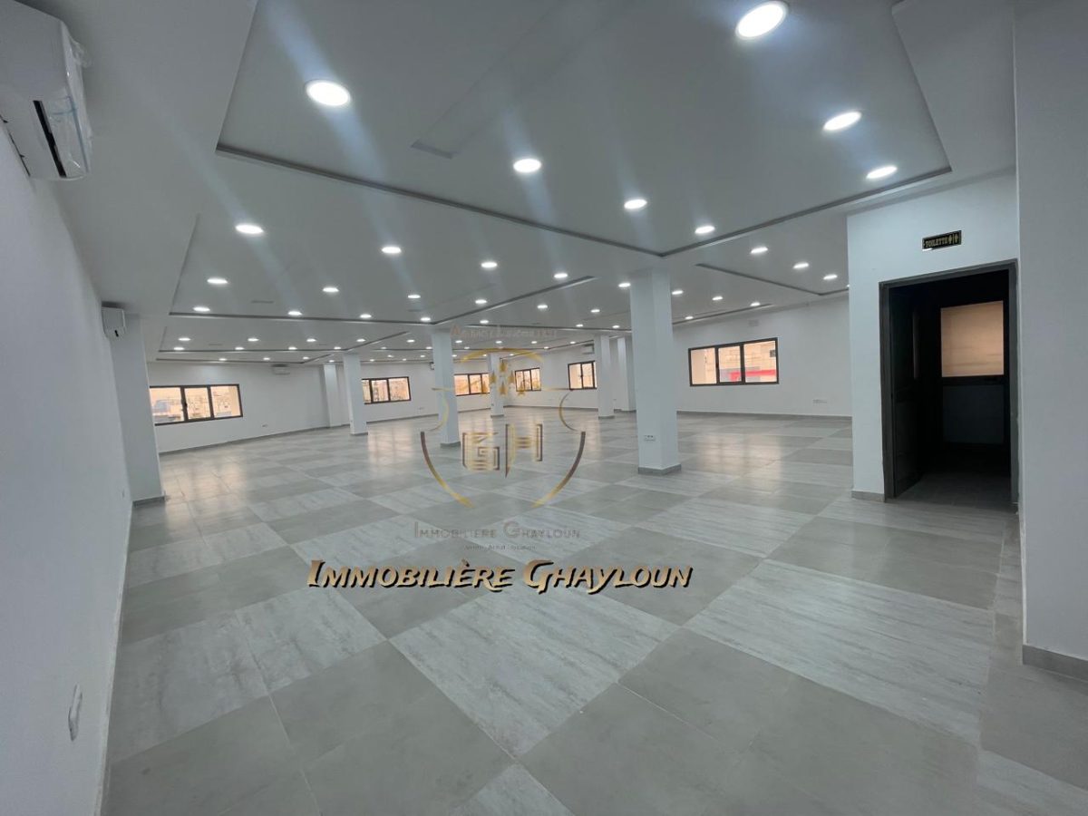 773123_20241023_172006