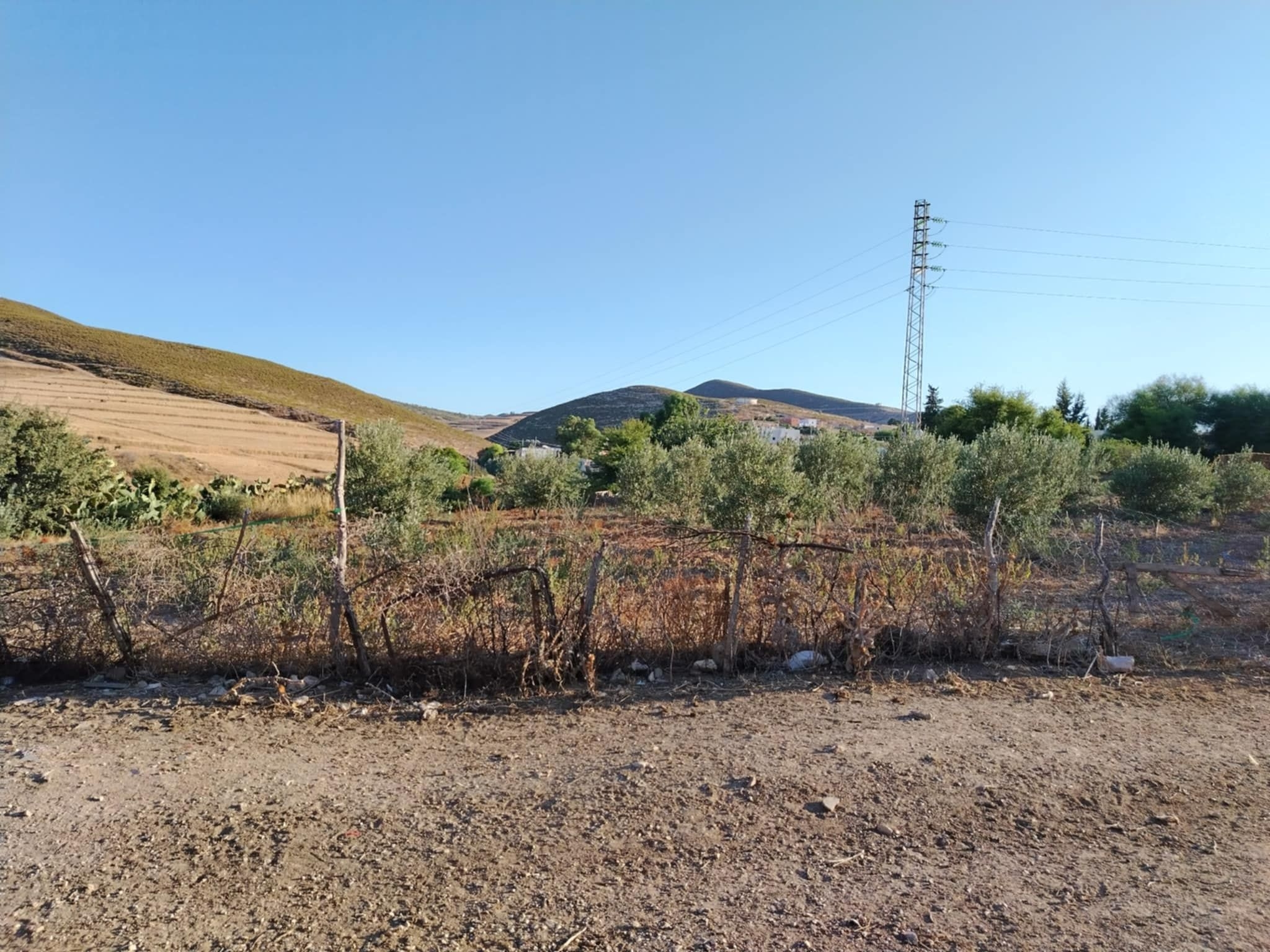 103888_20250912_123016