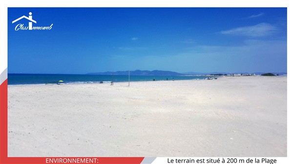 528433_20250225_105330