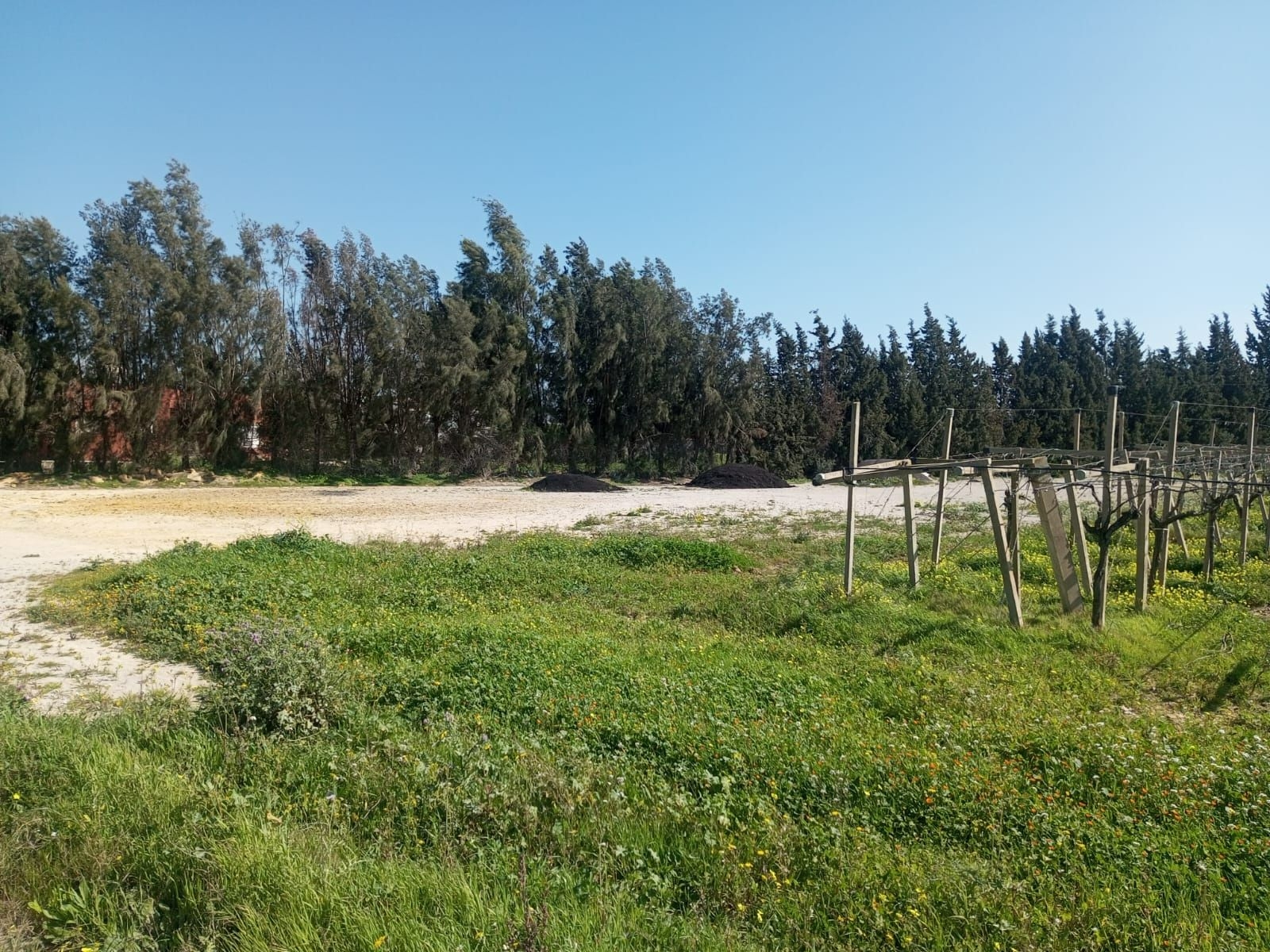 103888_20250912_021623