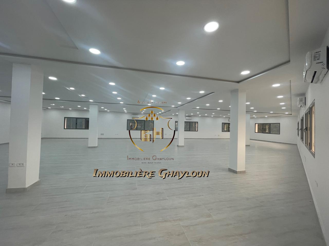 773123_20241023_172043