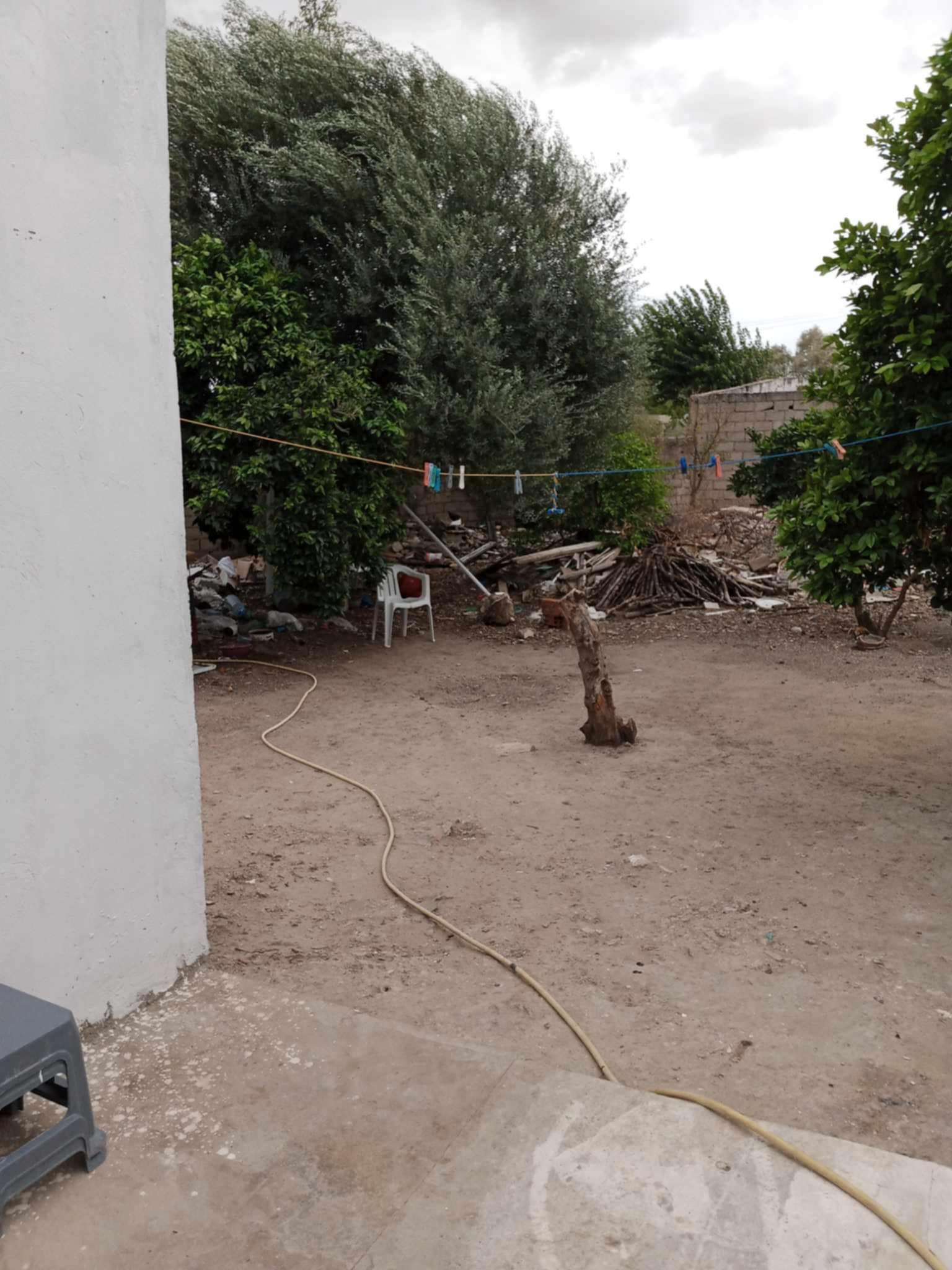 168335_20241109_184906