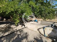 103888_20250906_003432