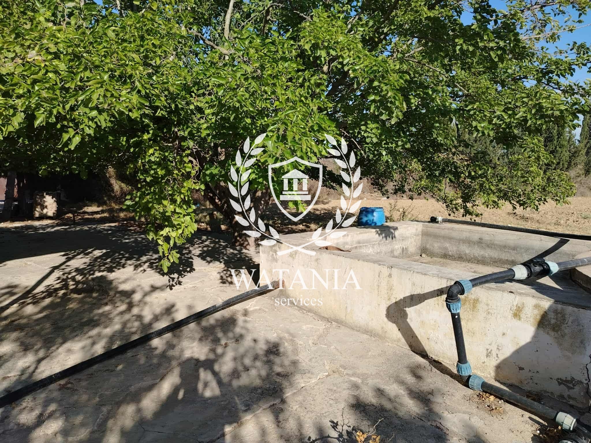 103888_20250906_003432