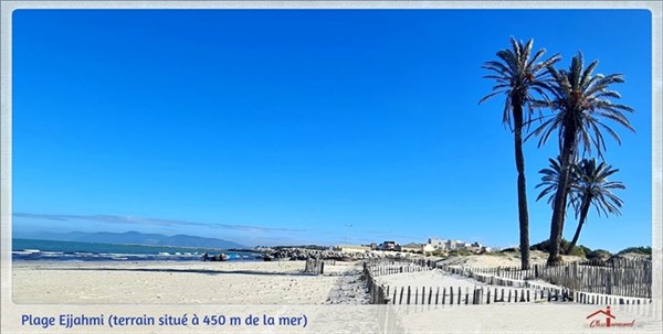 756083_20250602_080345