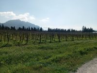 103888_20250912_021607