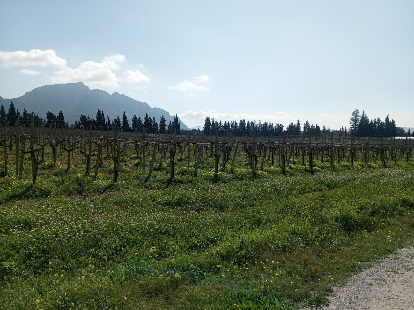 103888_20250912_021607