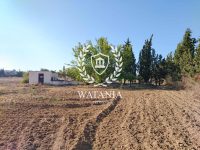 103888_20250906_003419