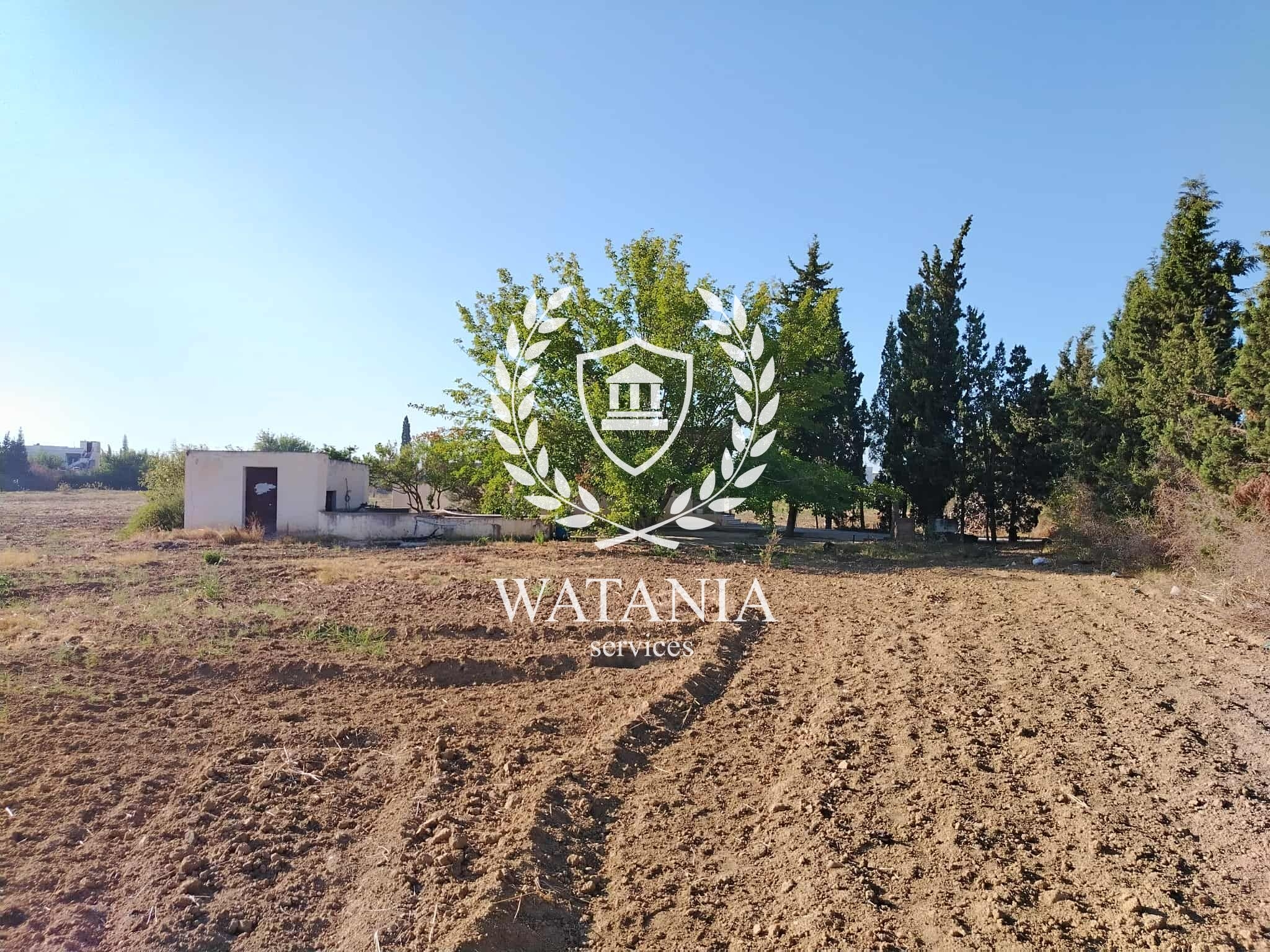 103888_20250906_003419