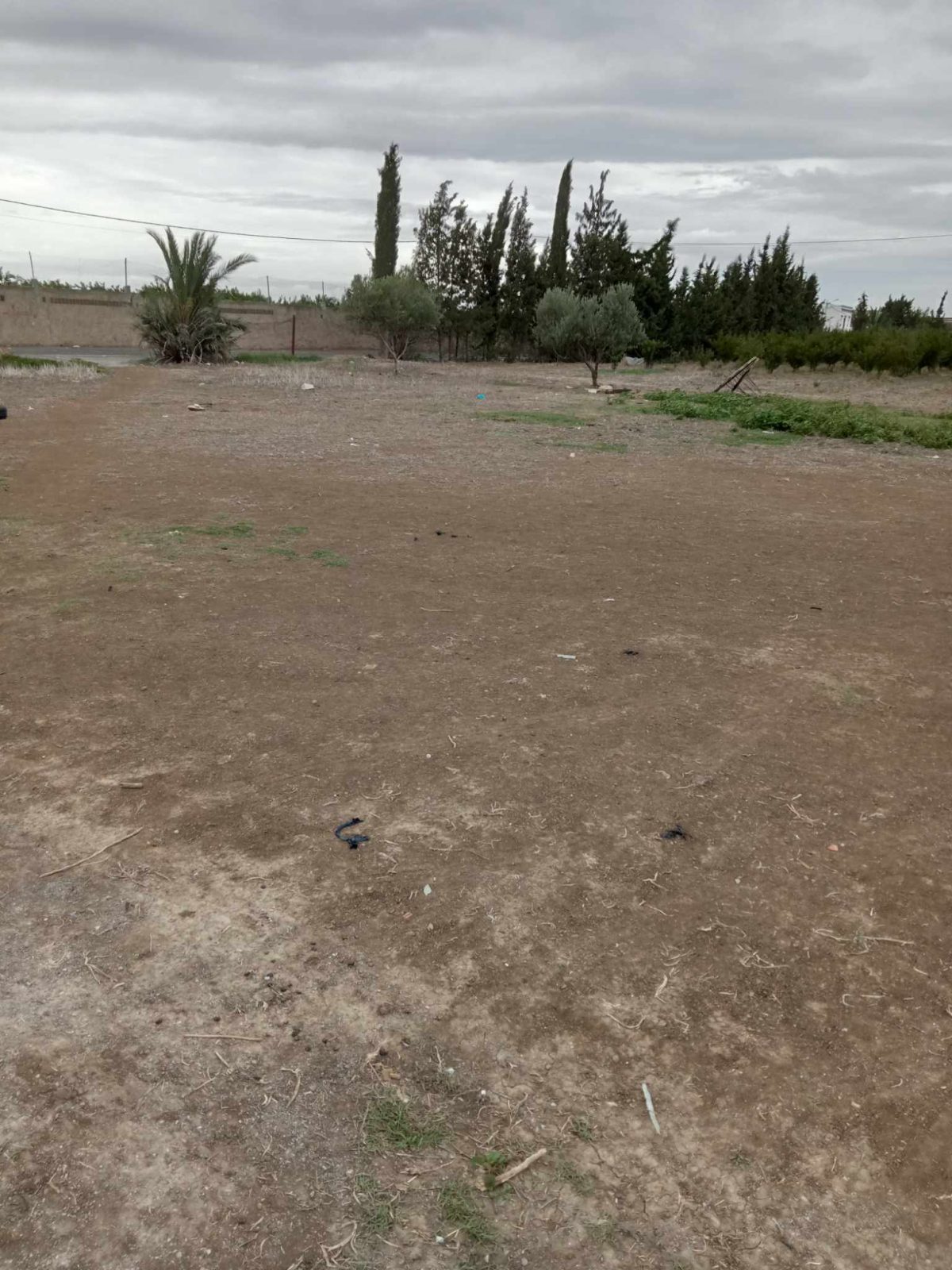 168335_20240927_170300