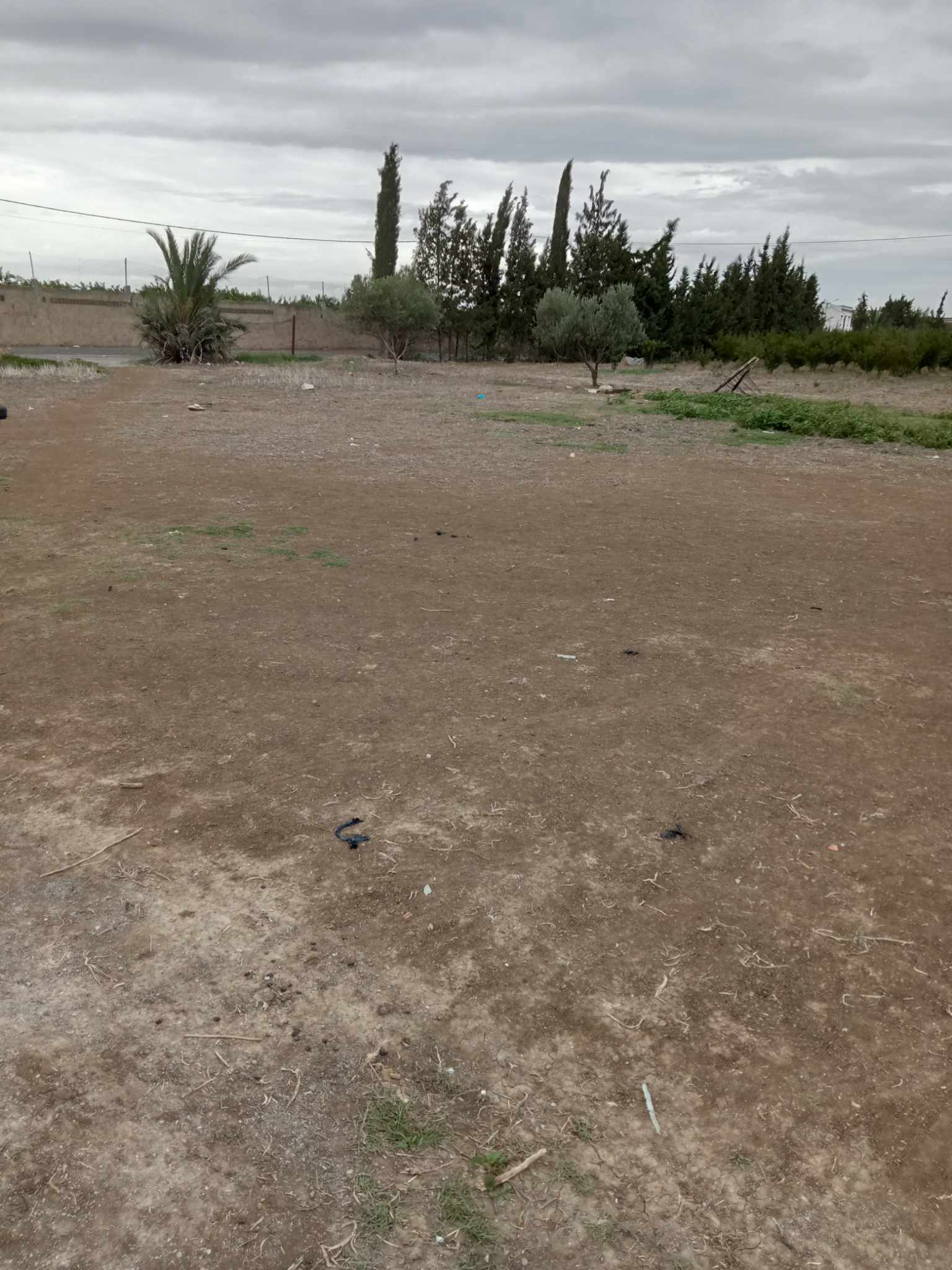 168335_20240927_170300