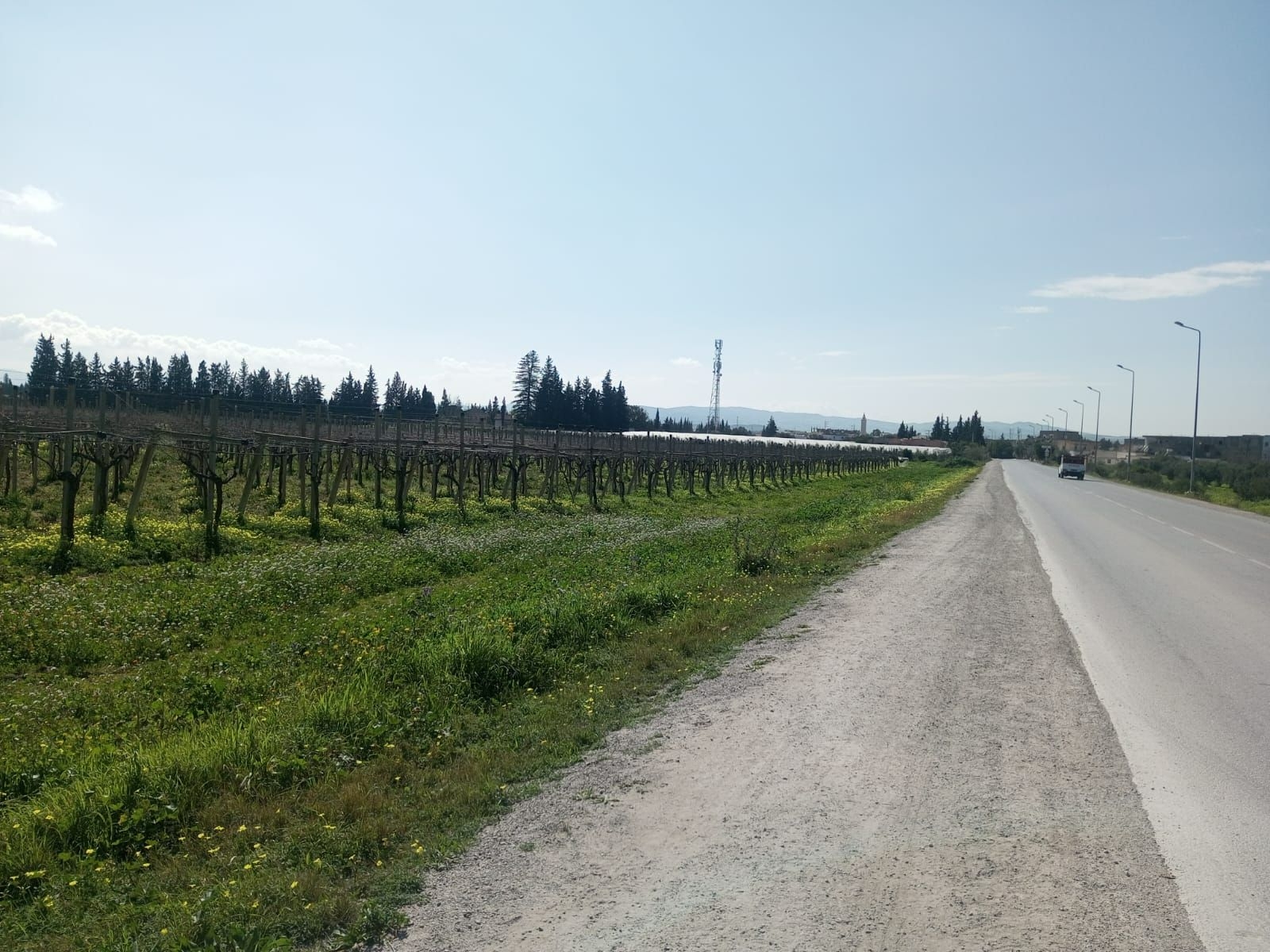 103888_20250912_021551