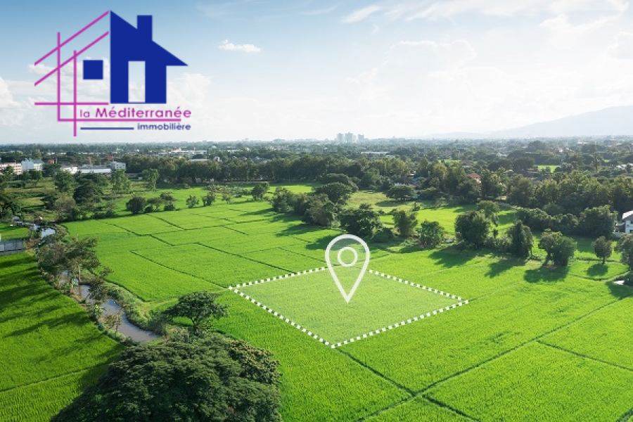 Terrain de 2000m a morneg