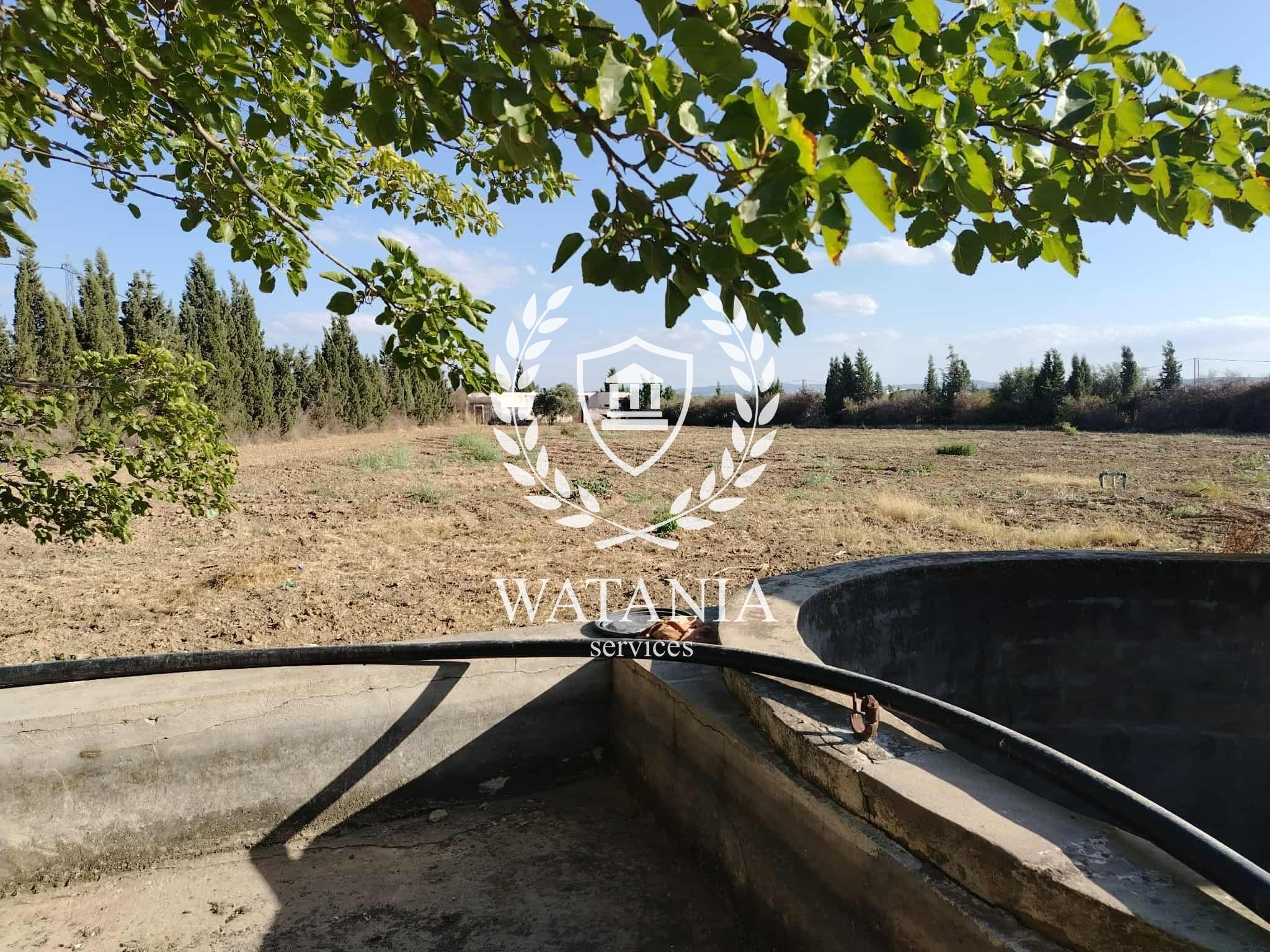 103888_20250906_003450