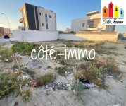 777406_20230815_113427