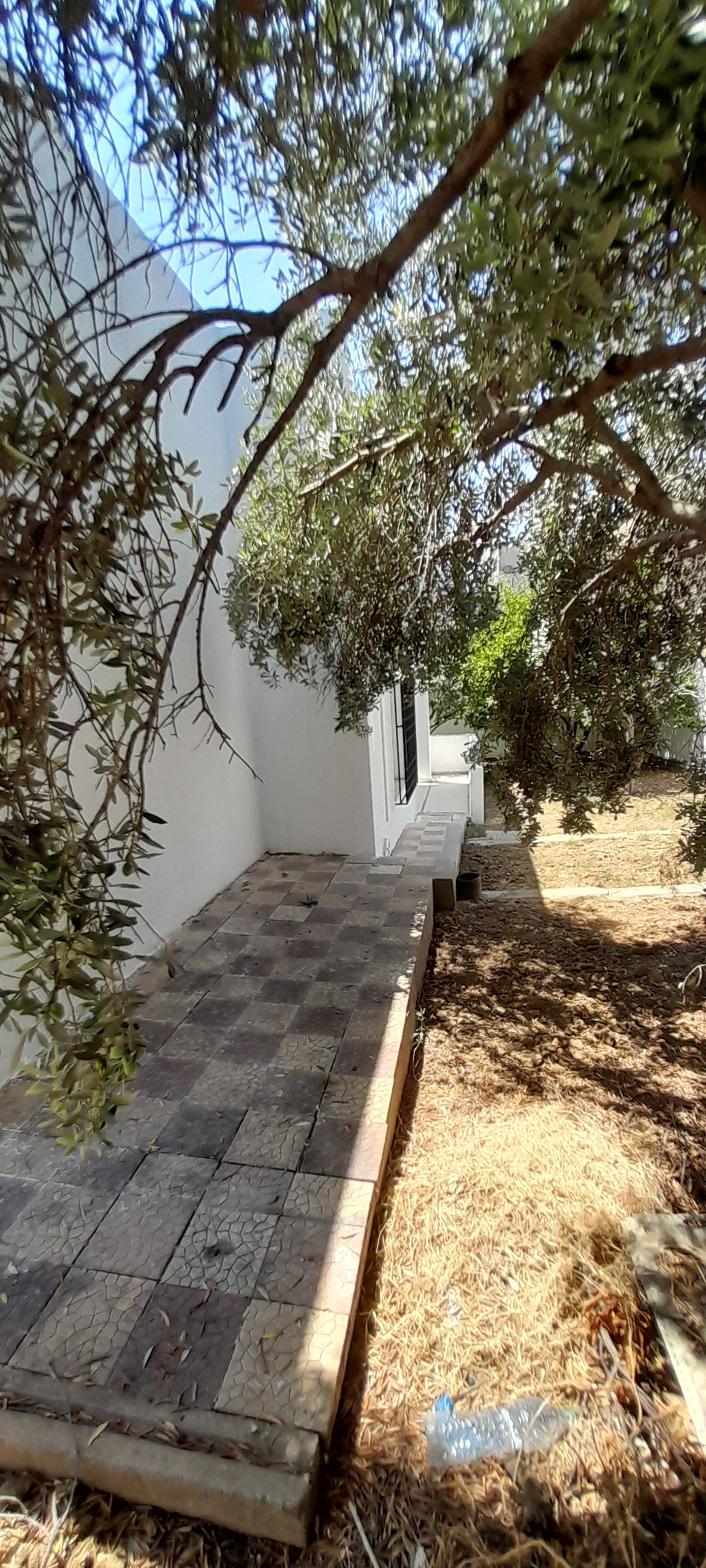 791614_20250814_134016