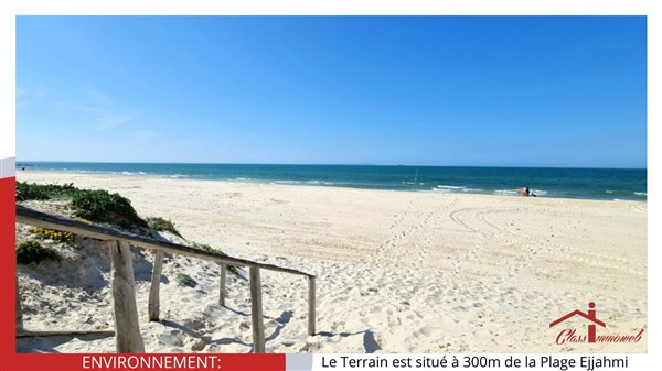 528433_20250115_144307