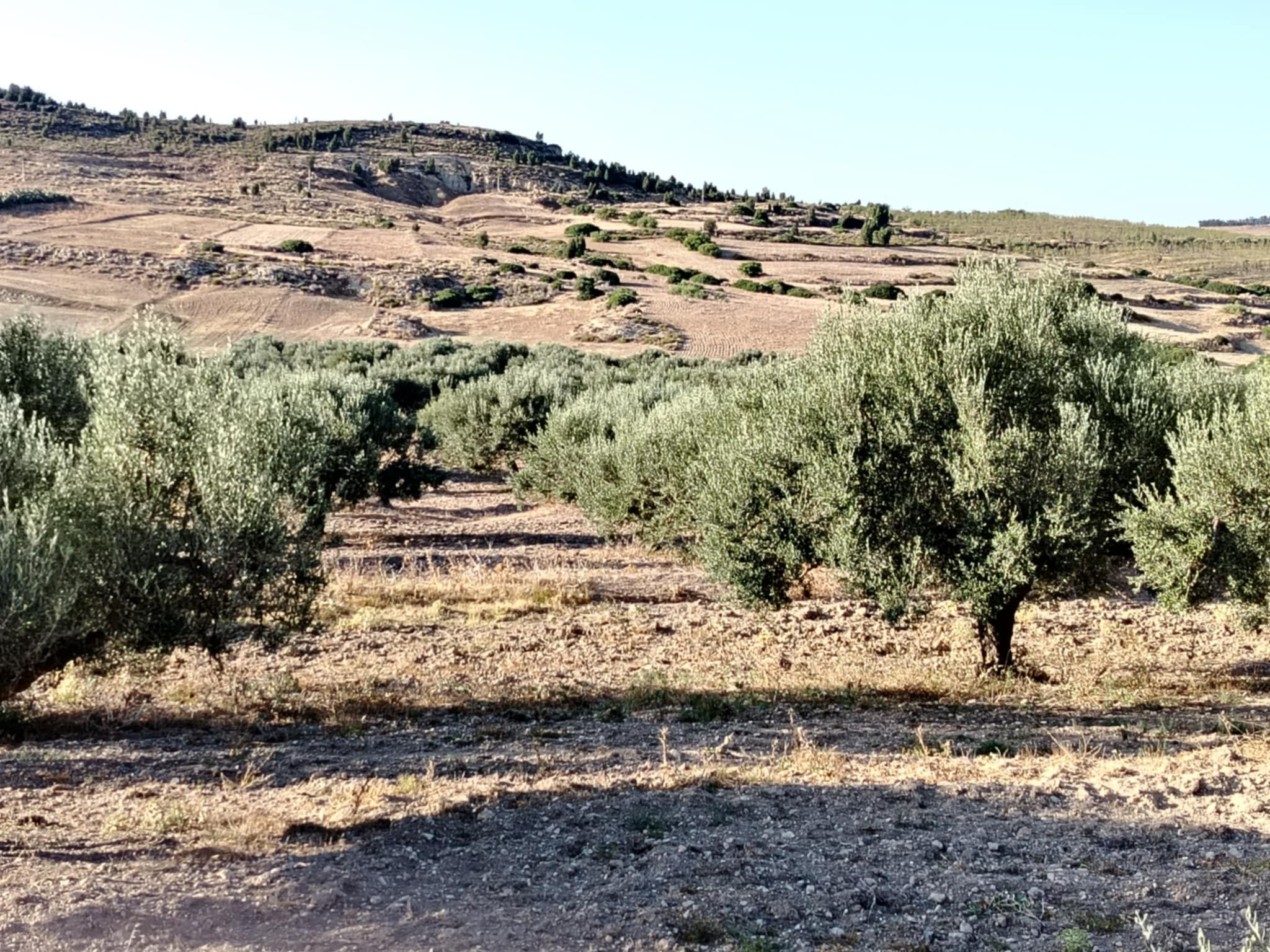 103888_20250912_123042