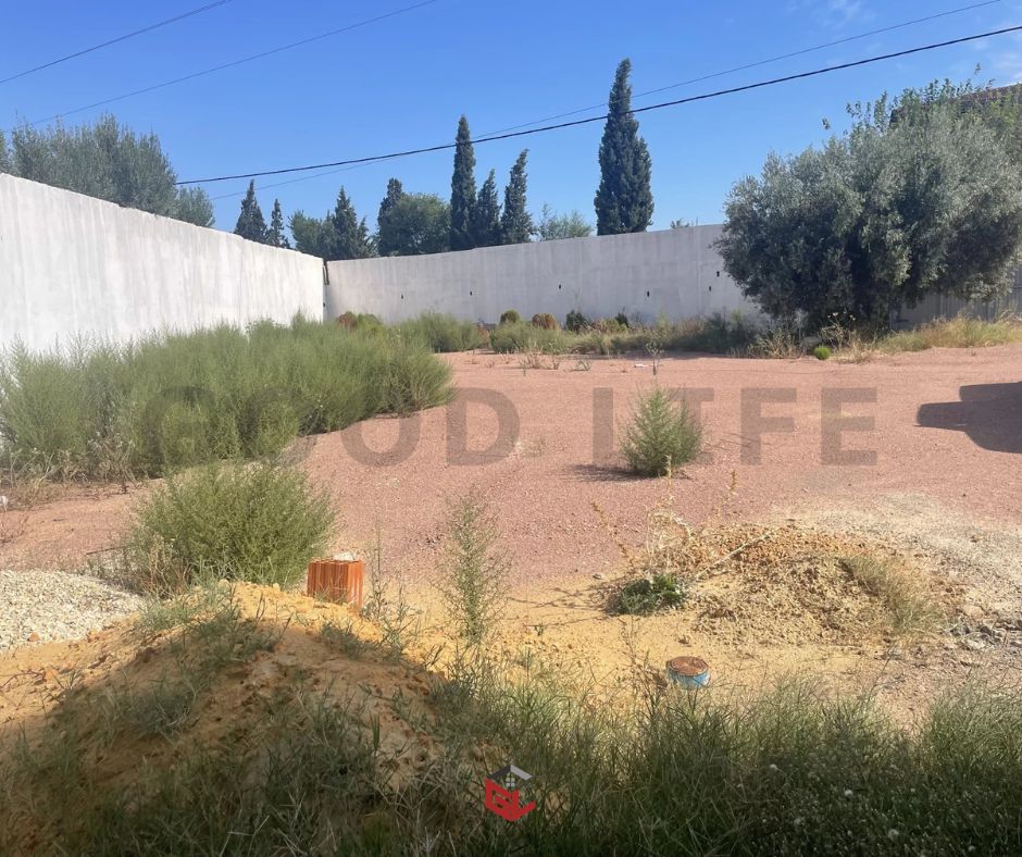 630848_20241011_114646