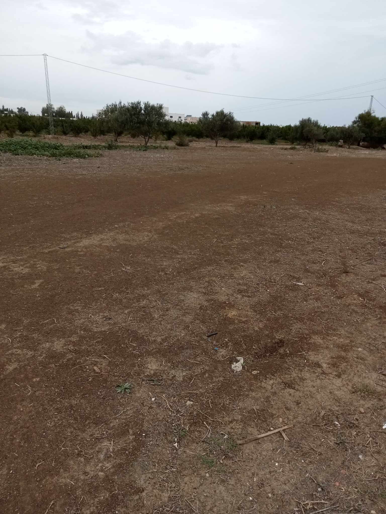 168335_20240927_170335