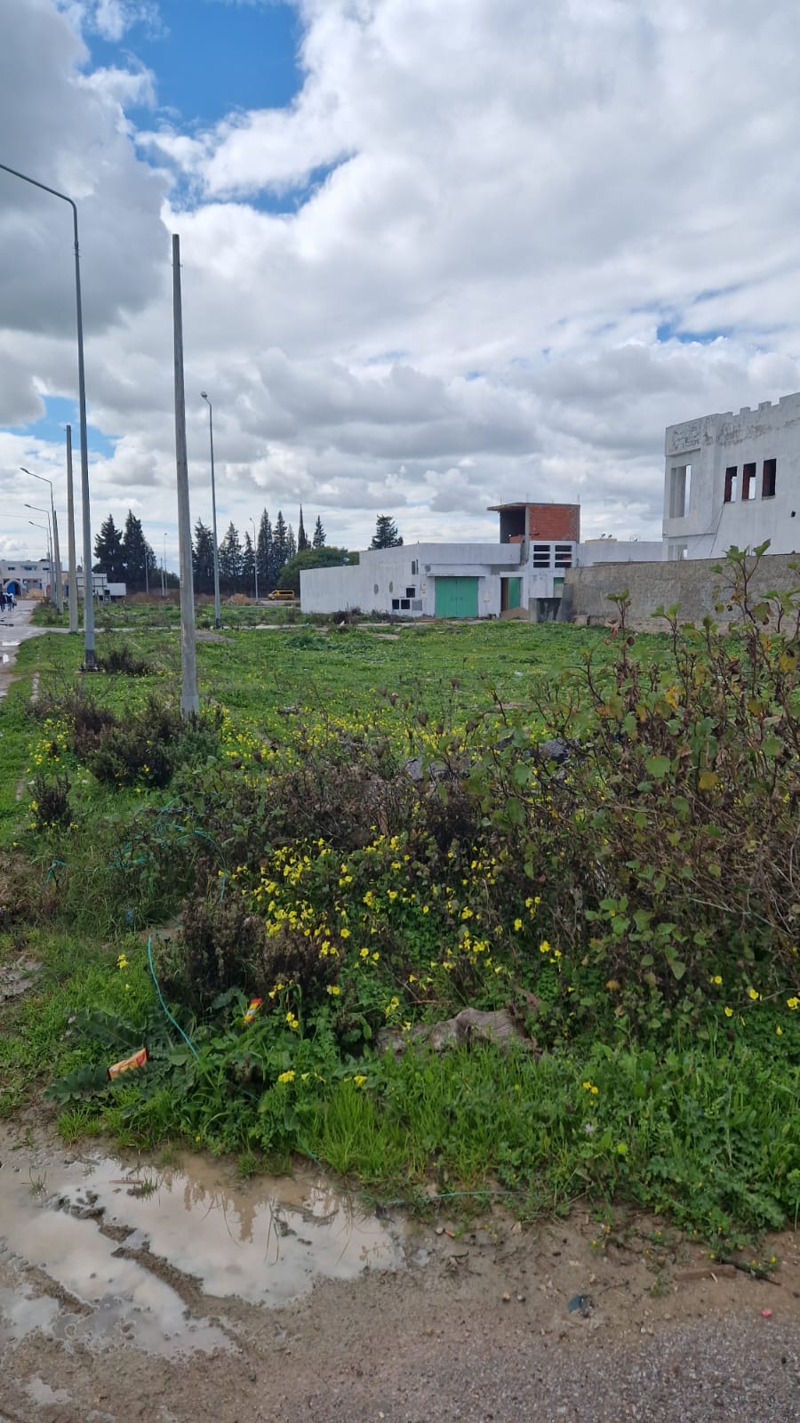 760071_20240621_080756