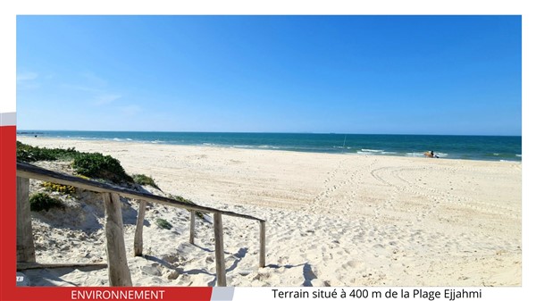 756083_20250602_075822