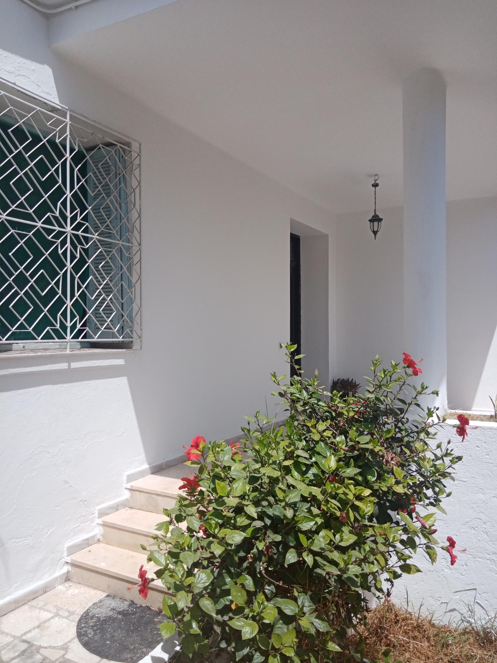 384556_20250929_080108