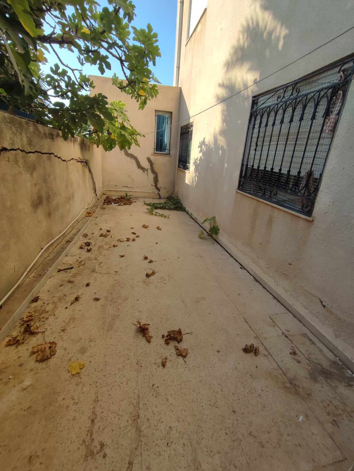 700241_20251201_131612