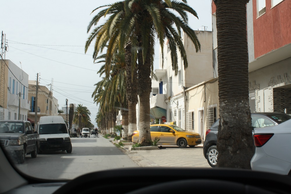 155991_20240310_145323